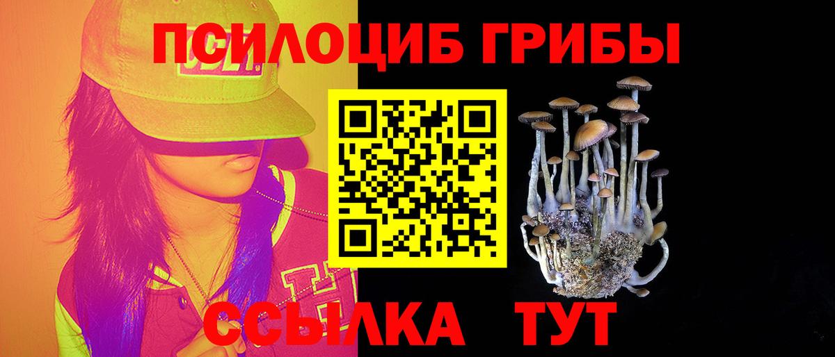 Галлюциногенные грибы ЛСД  Галлюциногенные грибы прущие грибы  Вход с VPN  где можно купить   Ачинск 